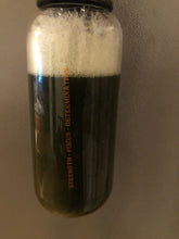 Load image into Gallery viewer, Introducing our 32oz Gymnanigans Champion Strong Glass Bottle with Handle – The Perfect Blend of Style and Functionality!