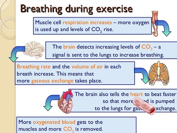 Breathing Easy: How Proper Breathing Techniques Can Enhance Your Exercise Performance