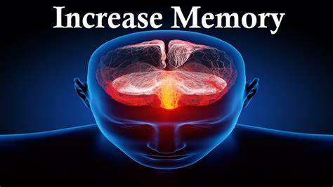 Memory Enhancing Boosting Brain Power: The Science Behind Memory-Enhancing Supplements ...