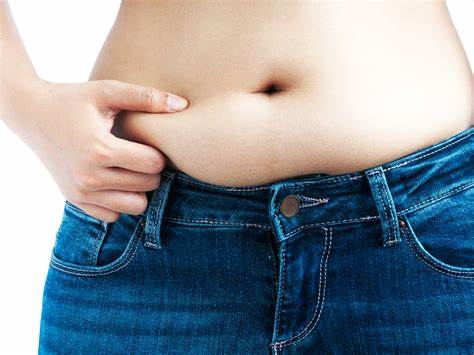 The Belly Fat-estrogen Connection: How Low Estrogen Levels Can Impact Body Fat Distribution