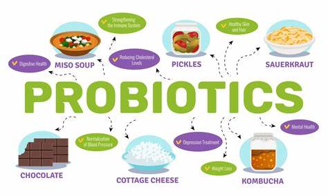 Probiotics 101: The Benefits of Good Bacteria for Gut Health